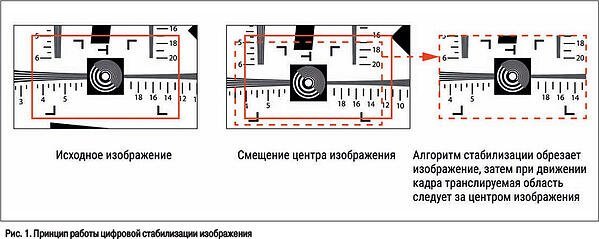 ris-1