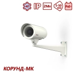 ТВК-61IP-5-V550-PoE+