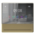 CDV-70QT/VZ (золото)