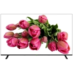 TC-D355 Spec:MON/4K/P/V2.0