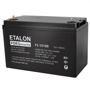 FS 12100 (АКБ 12-100) изображение 2