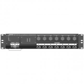 RDIp-125A изображение 2