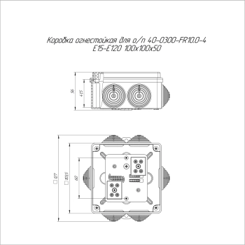 40-0300-FR10.0-4 изображение 3