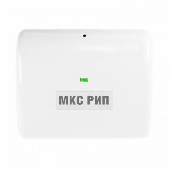 Болид МКС РИП