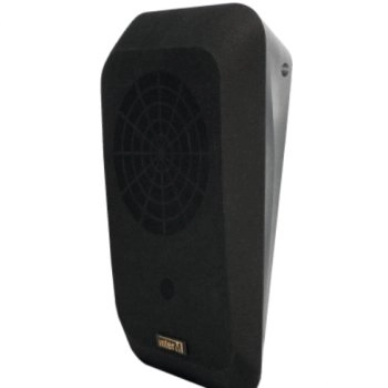 Inter-M IWS-10