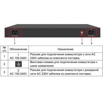 SW-48G4X-1L изображение 3