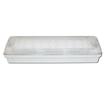 ИП Раченков А.В. SL-213-30LED1.8 IP-54 исп. 1