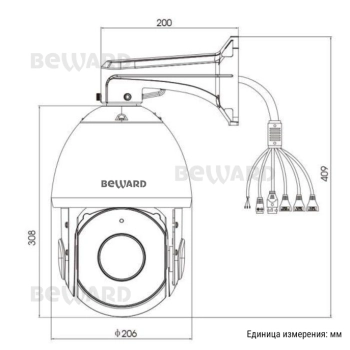 SV2217-R36 изображение 2