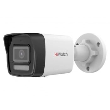 HiWatch DS-I450M 