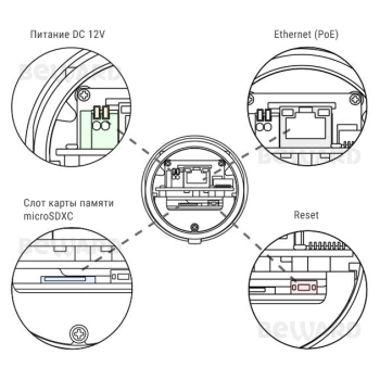 SV3218R2 (6) изображение 3