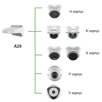 A29 изображение 2