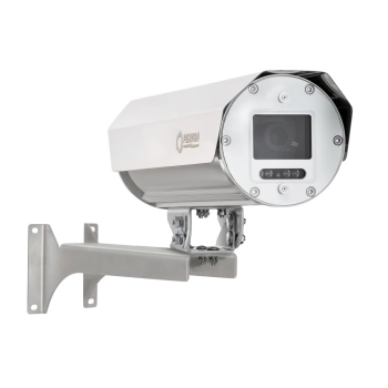 Релион -Н-300-IP-2Мп5-60Z-24?36VDC/AC-SD-DH