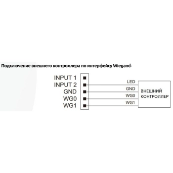 PVP-IPHK изображение 5